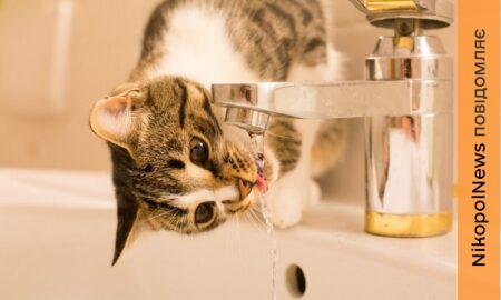 Аварія: у Нікополі 16 січня відключили воду в одному з районів