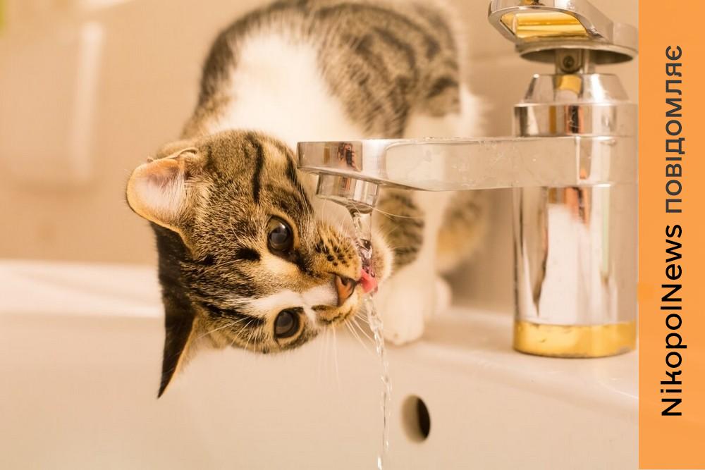 Аварія: у Нікополі 16 січня відключили воду в одному з районів 1 Аварія: у Нікополі 16 січня відключили воду в одному з районів