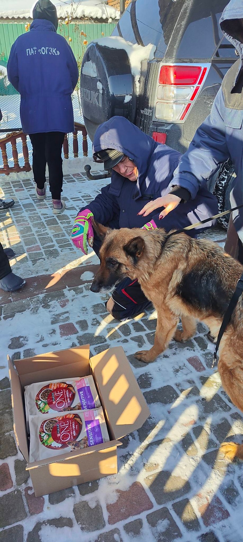 Справжнє диво! 15-річна вівчарка у Нікополі знайшла родину – волонтерка жорстко звернулася до хейтерів