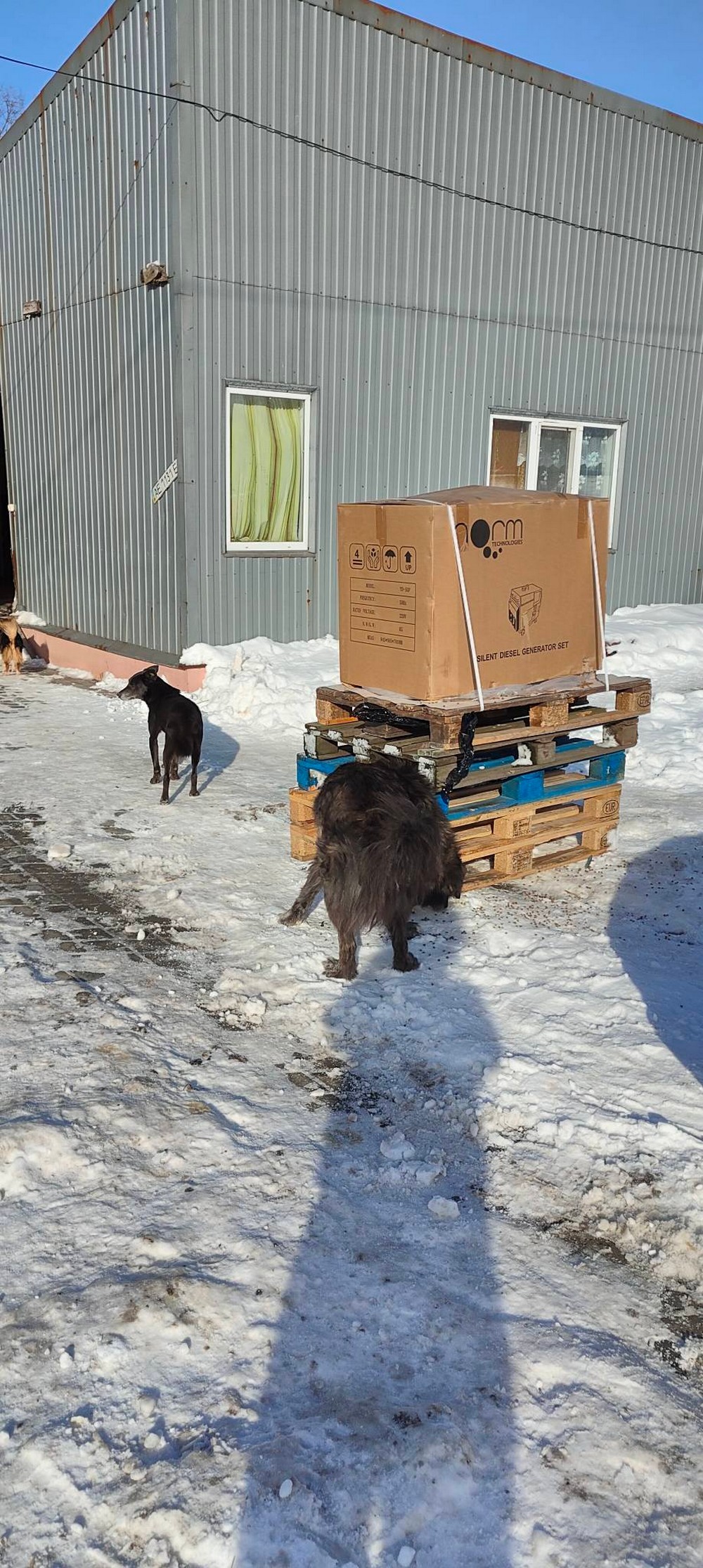 Морози це мій страшний сон і кошмар