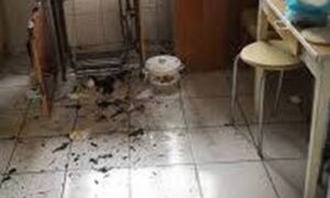 Розірвався газовий балончик: медики Нікополя рятували дитину і батька