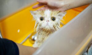 Аварія: у Нікополі 13 січня відключили воду в одному з районів