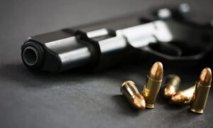 Декларування зброї на Нікопольщині 2