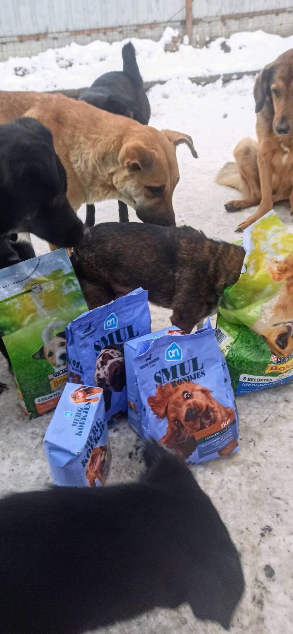 Депутат Нікопольської міської ради передав смаколики для собак (фото) 2