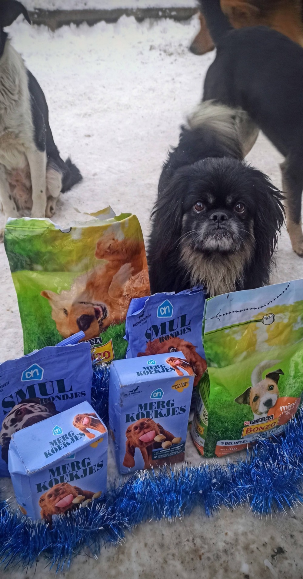 Депутат Нікопольської міської ради передав смаколики для собак (фото) 4