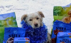 Депутат Нікопольської міської ради передав смаколики для собак (фото) 6