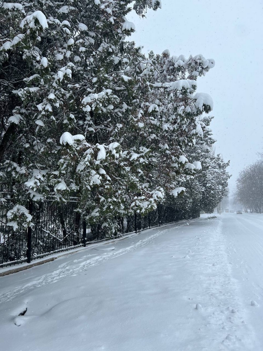 Марганець 1