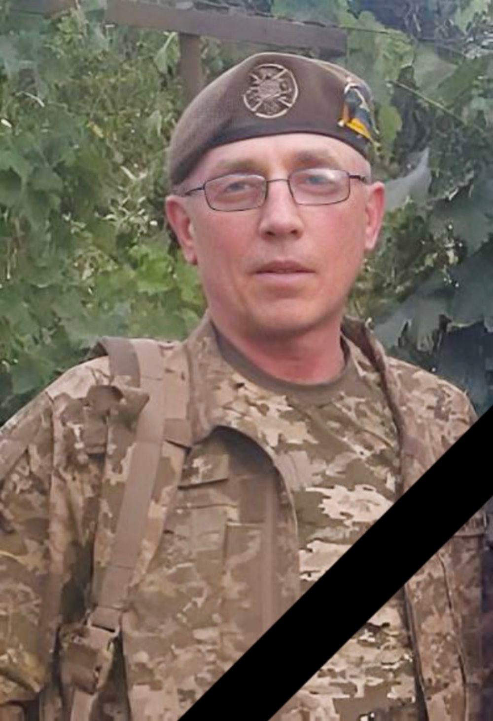 Нікопольщина