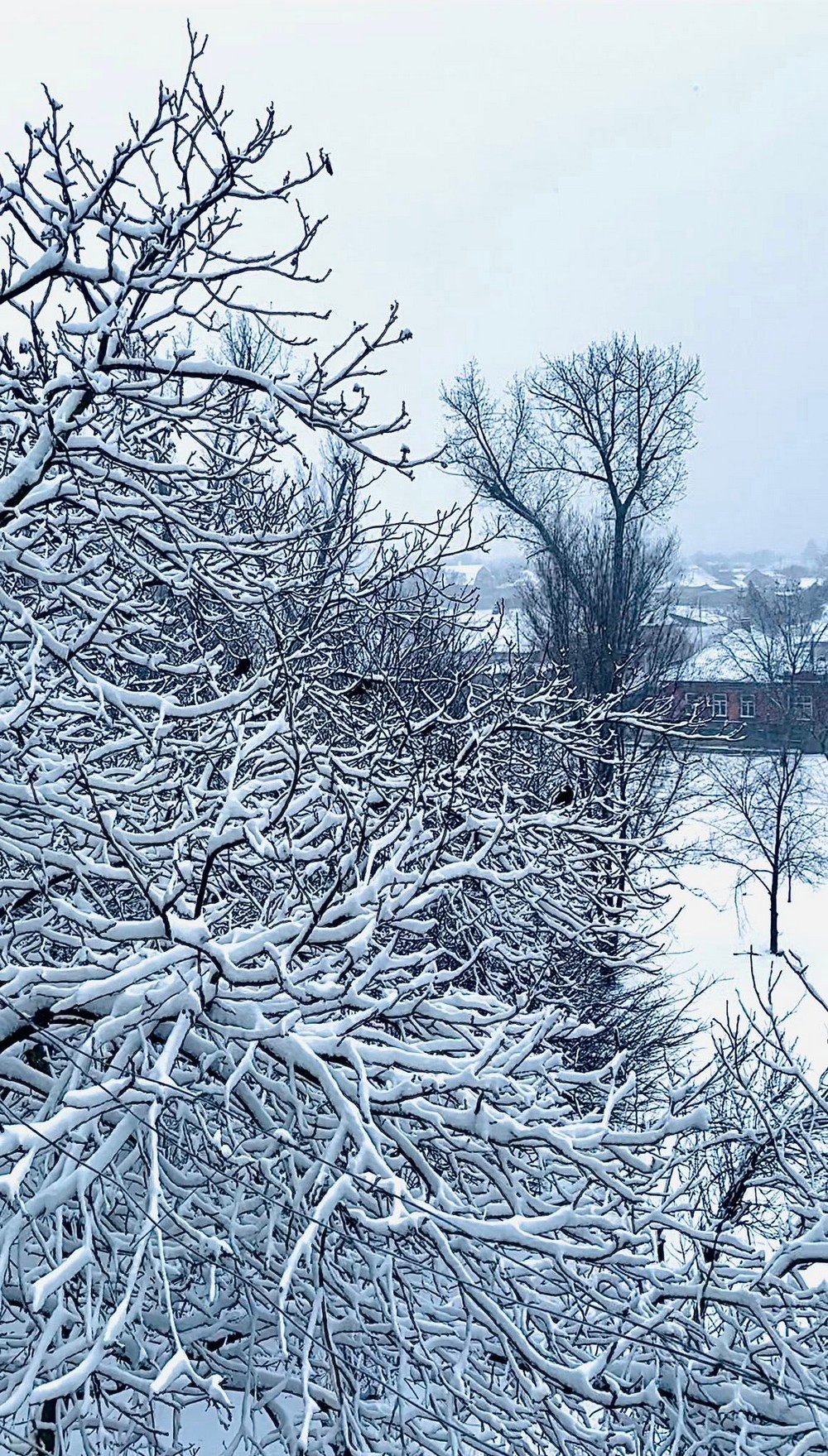 Поночевний 1