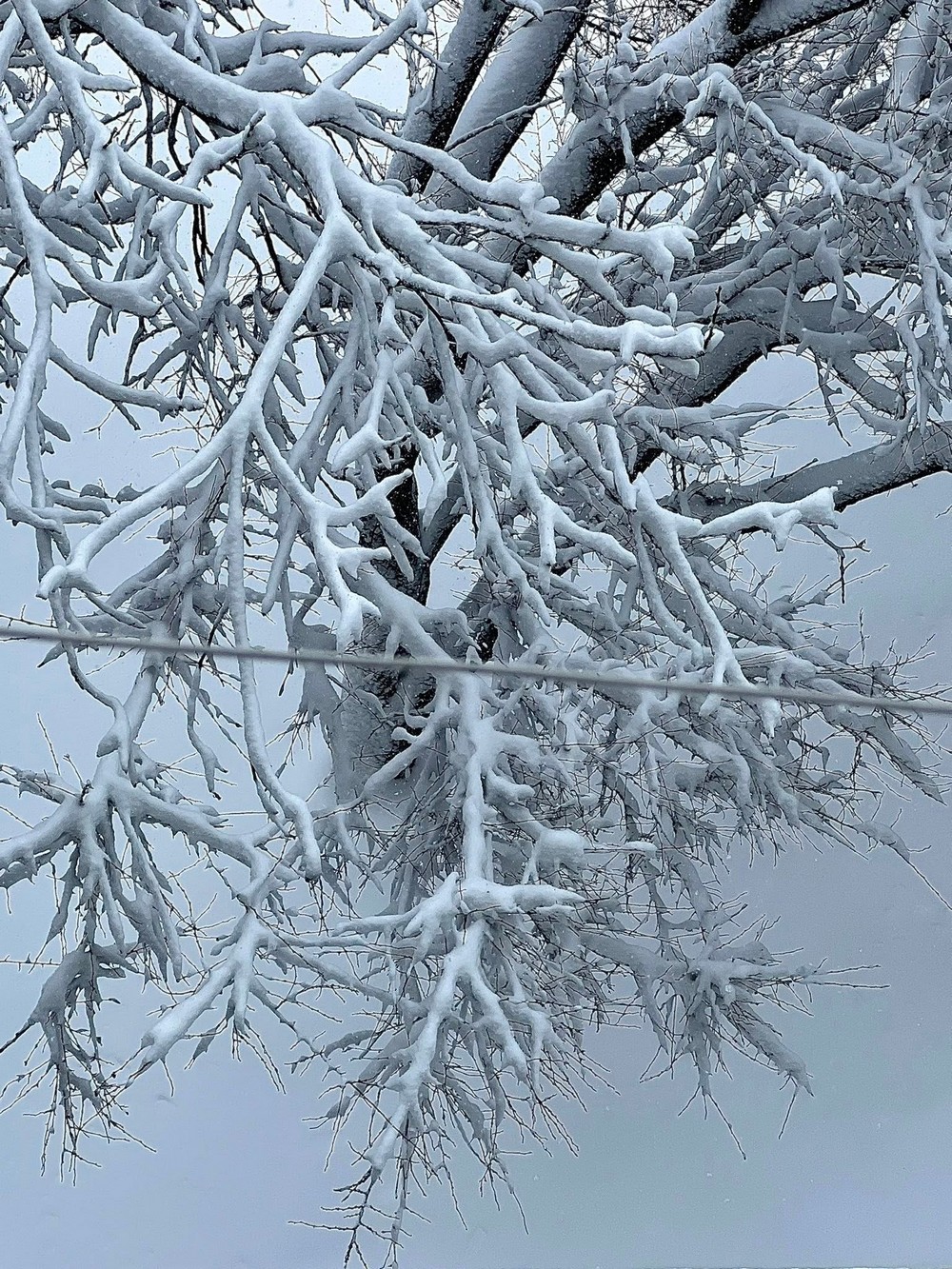 Поночевний 2