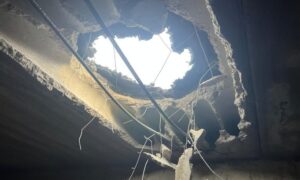 У Нікополі 10