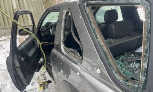 У Нікополі 2