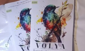 Вірші трьох письменників з Нікополя потрапили до журналу VOLYA