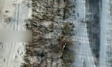 Ніби мерзенні воші: показали відео знищення окупантів біля Новопавлівки на Дніпропетровщині