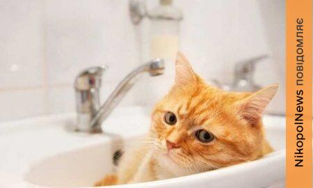 Аварійні роботи: у Нікополі 29 січня відключили воду в одному з районів