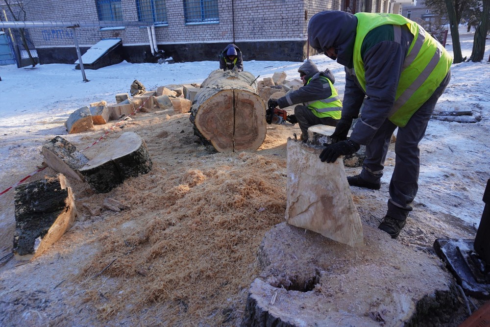 дерева дерева