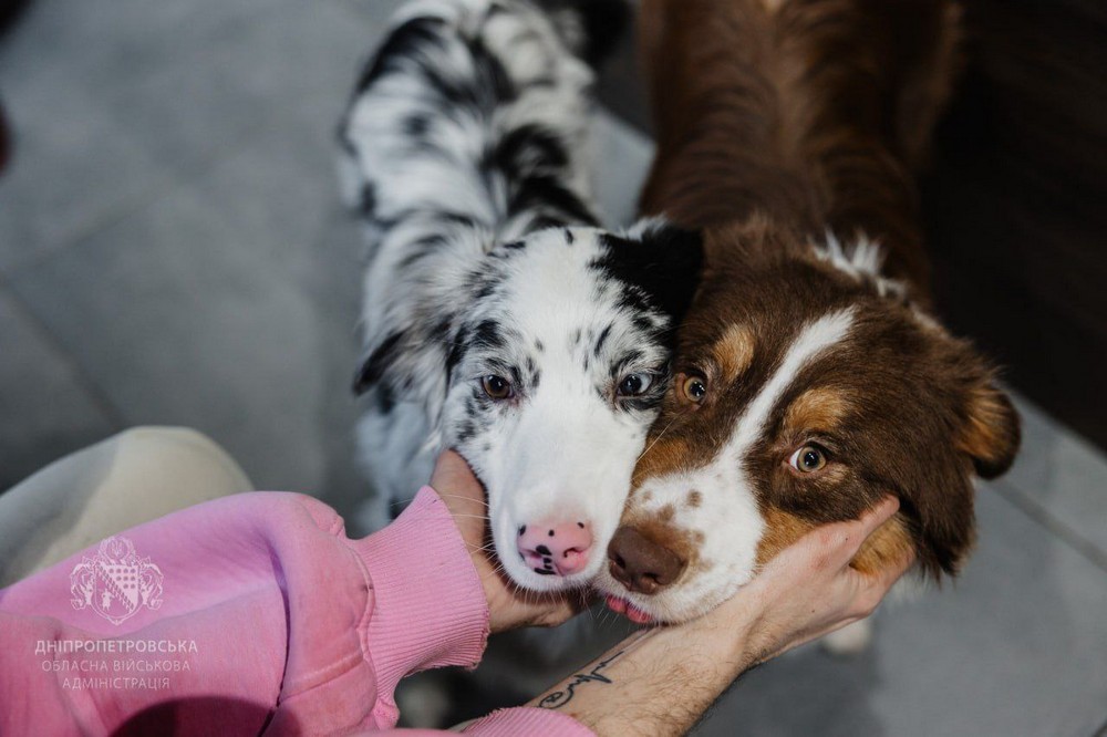 електропостачання на Дніпропетровщині 3
