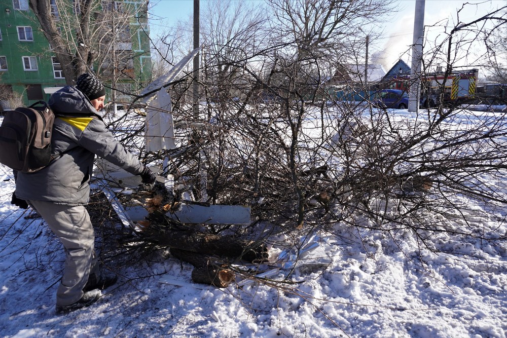 гілки гілки