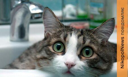 Аварія: у Нікополі 19 січня відключили воду в одному з районів