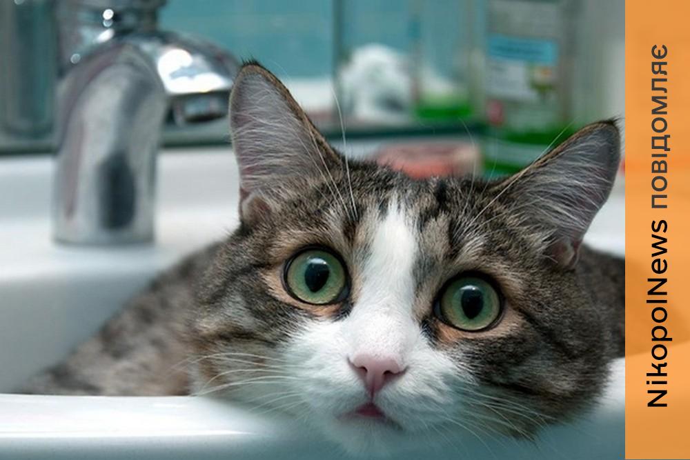 Аварія: у Нікополі 19 січня відключили воду в одному з районів 1 Аварія: у Нікополі 19 січня відключили воду в одному з районів