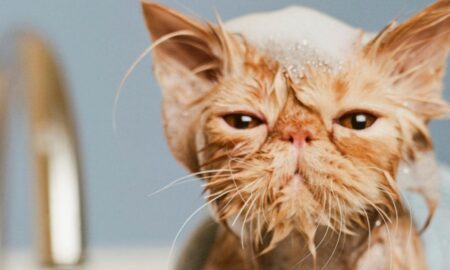 Аварії: у Нікополі 1 січня відключили воду в двох районах