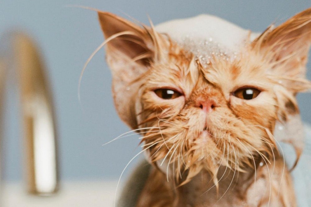 Аварії: у Нікополі 1 січня відключили воду в двох районах