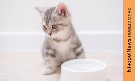 Аварія: у Нікополі 31 січня відключили воду ще в одному районі