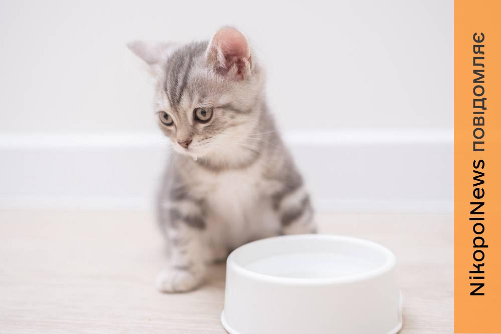 Аварія: у Нікополі 31 січня відключили воду ще в одному районі 1 Аварія: у Нікополі 31 січня відключили воду ще в одному районі