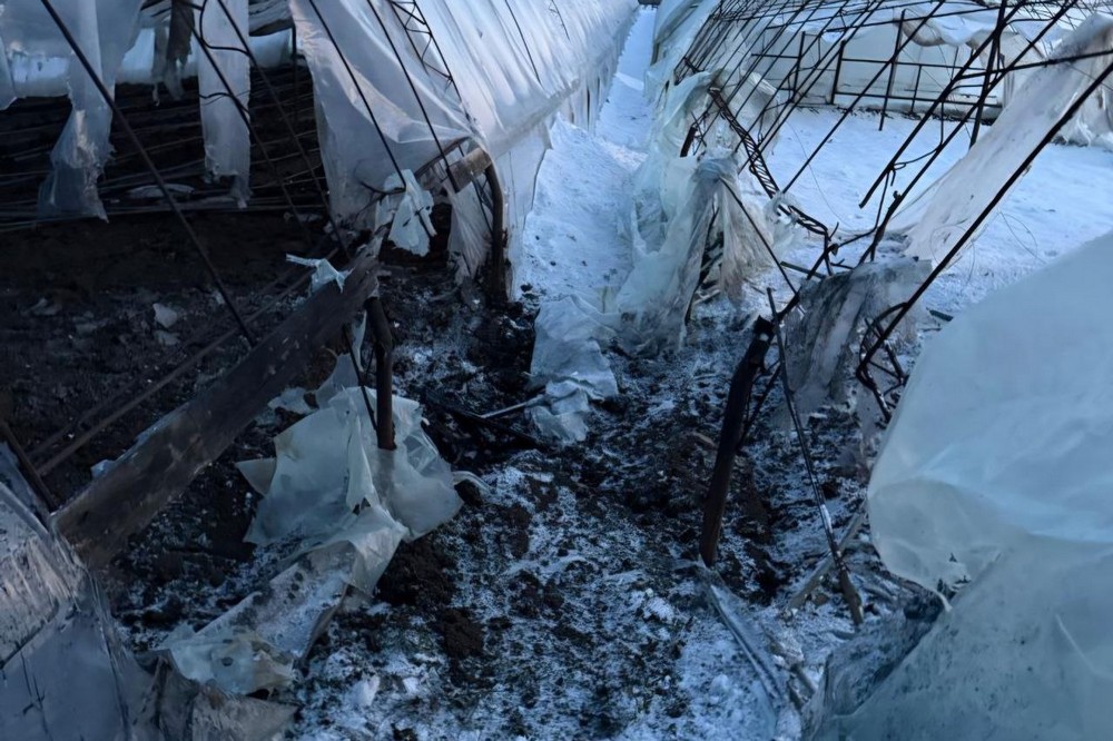 photo 2026 01 12 18 30 26