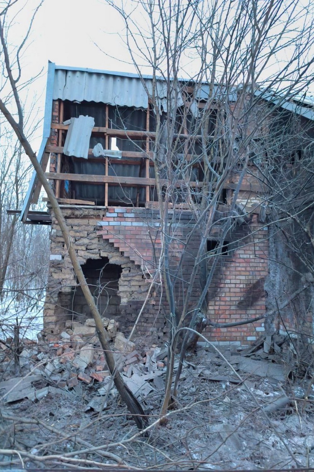 photo 2026 01 14 07 16 48 photo 2026 01 14 07 16 48