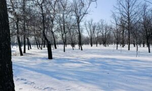 Похмуро і мороз: погода у Нікополі 24 січня