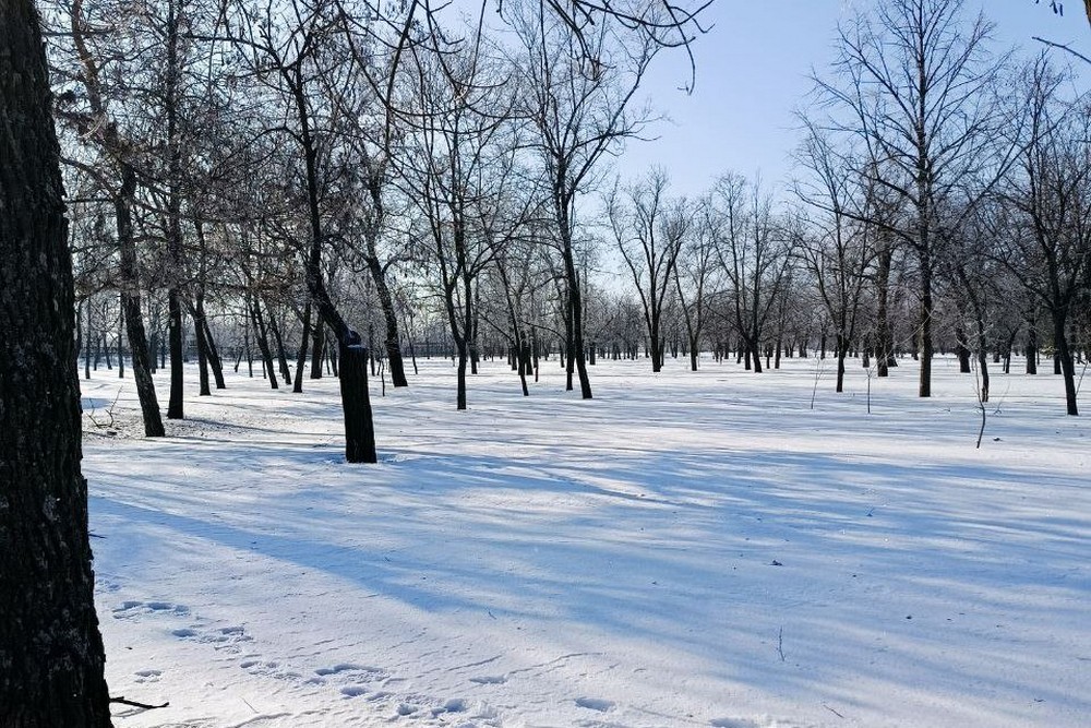 Похмуро і мороз: погода у Нікополі 24 січня 1 Похмуро і мороз: погода у Нікополі 24 січня