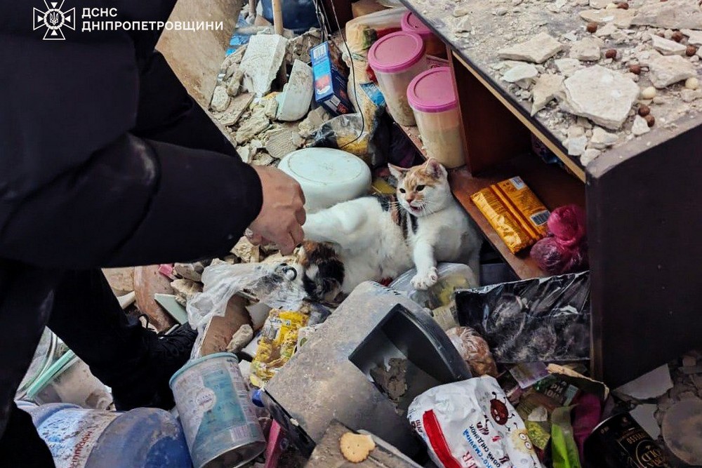 photo 2026 01 22 12 58 58 (7) photo 2026 01 22 12 58 58 (7)