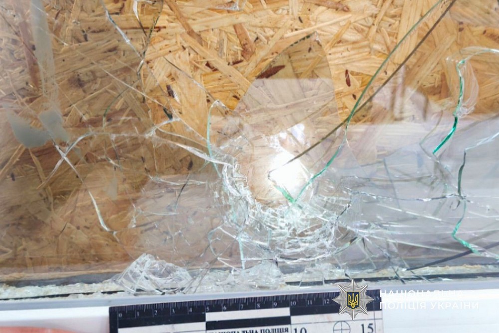 Дрон у Нікополі поцілив по будинку і поранив жінку, мати з сином отримали опіки на Синельниківщині – поліція про наслідки ворожих атак (фото)