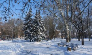 Як пройшла ніч 29 січня у Нікополі – розповів Олександр Саюк