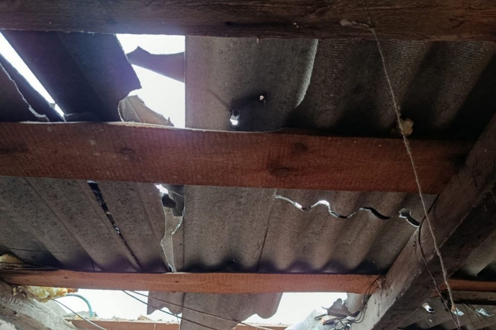 photo 2026 01 30 17 30 26 (5)