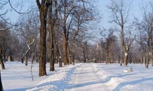 погода у Нікополі 13 січня