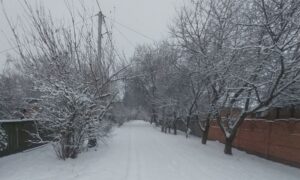 погода у Нікополі 25 січня