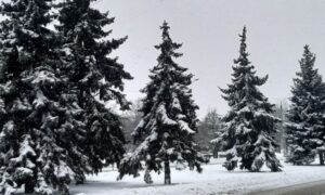 погода у Нікополі 29 січня