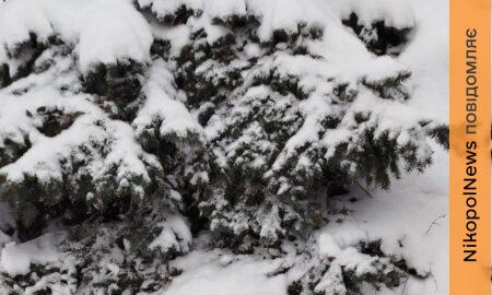 погода у Нікополі