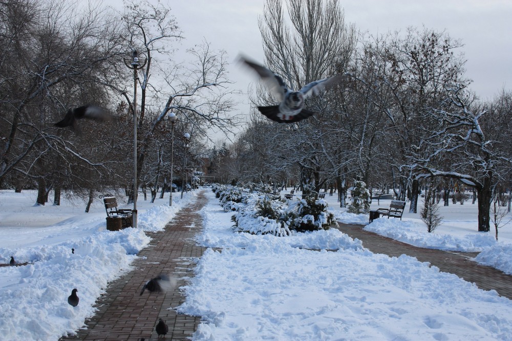 Очікується дрібний дощ зі снігом: якою буде погода у Нікополі 3 січня 1 погода у Нікополі 3 січня