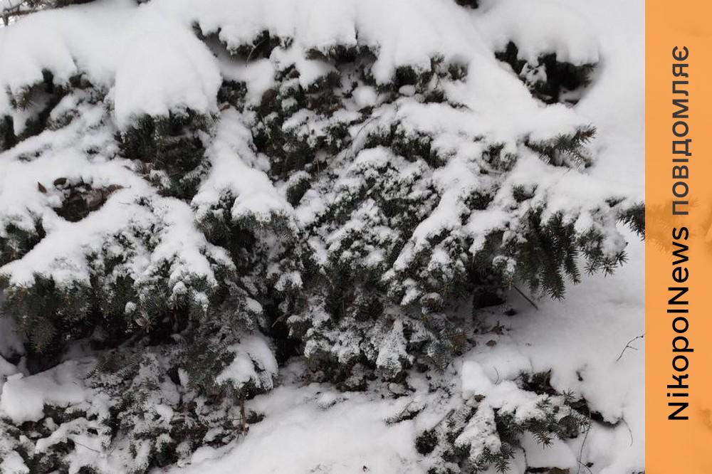 Хмарно і мороз: якою буде погода у Нікополі 16 січня 1 погода у Нікополі
