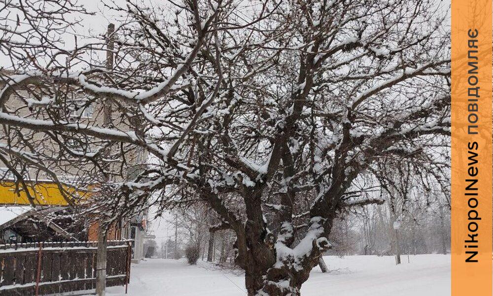 погода у Нікополі 30 січня 2