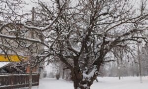 погода у Нікополі 30 січня 2