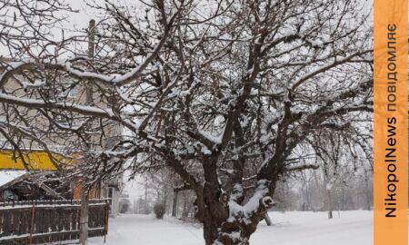 погода у Нікополі 30 січня 2