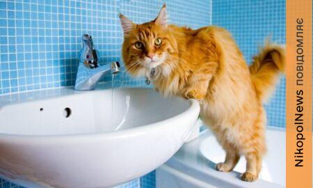 Аварія: у Нікополі 14 січня відключили воду в одному з районів