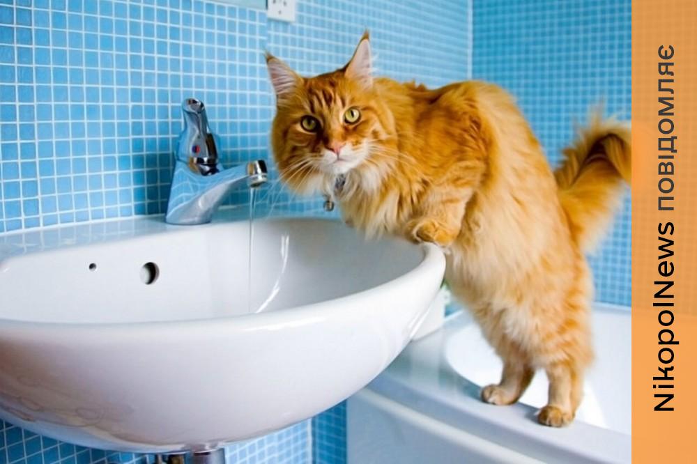 Аварія: у Нікополі 14 січня відключили воду в одному з районів 2 Аварія: у Нікополі 14 січня відключили воду в одному з районів