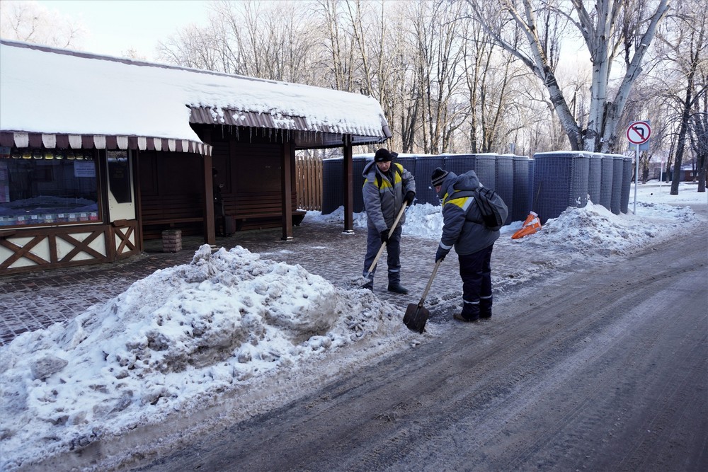 сніг 11 сніг 11
