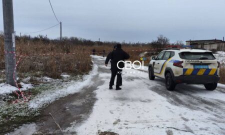 у Кривому Розі 2