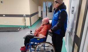 у Нікополі 2